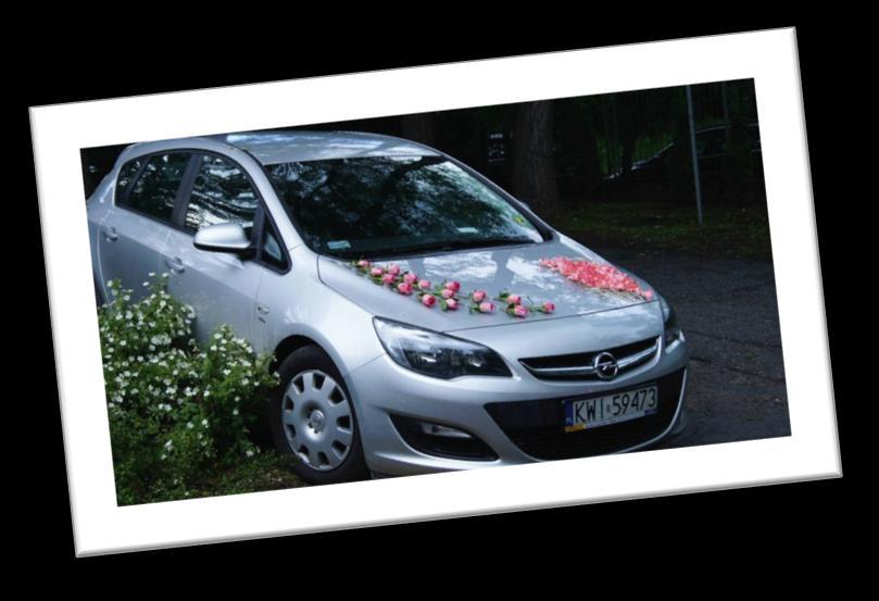 FLORYSTA Jeśli lubisz kwiaty i masz zacięcie artystyczne, to tutaj możesz się spełnić!