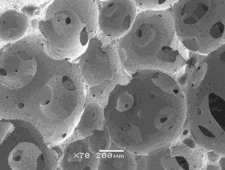 wytworzone w procesie technologicznym w porowatych biomateriałach powyżej 100 µm, które nazywa makroporami oraz pory powstałe pomiędzy spieczonymi ziarnami, zwykle o wielkości od poniżej jednego do