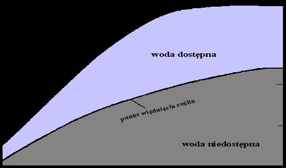 WIELKOŚCI OKREŚLAJĄCE STOSUNKI MIĘDZY 3 FAZAMI Stosunki wodne w glebach o różnym składzie granulometrycznym [Brady 1984].