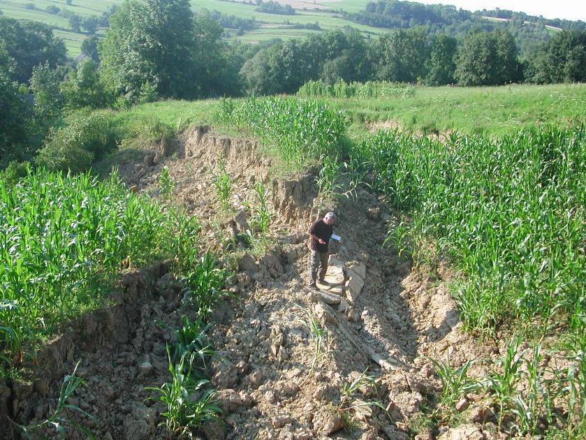 PRZEWODNIK TRASY TERENOWEJ OSUWISKA POGÓRZA KARPACKIEGO VI Międzynarodowa Konferencja Naukowa Przyczyny i skutki degradacji środowiska glebowego Rzeszów Krasiczyn 11-13. 09. 2018 r.