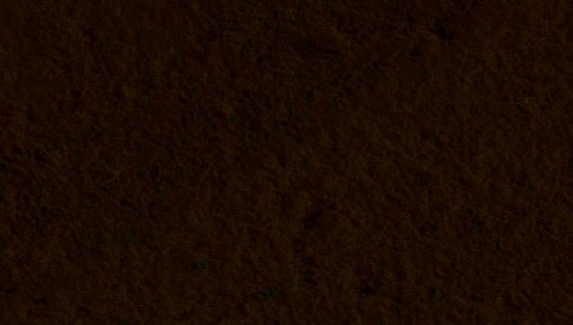 sposoby wpasowują się w oczekiwania producentów i w optymalny sposób potraﬁą wykorzystać