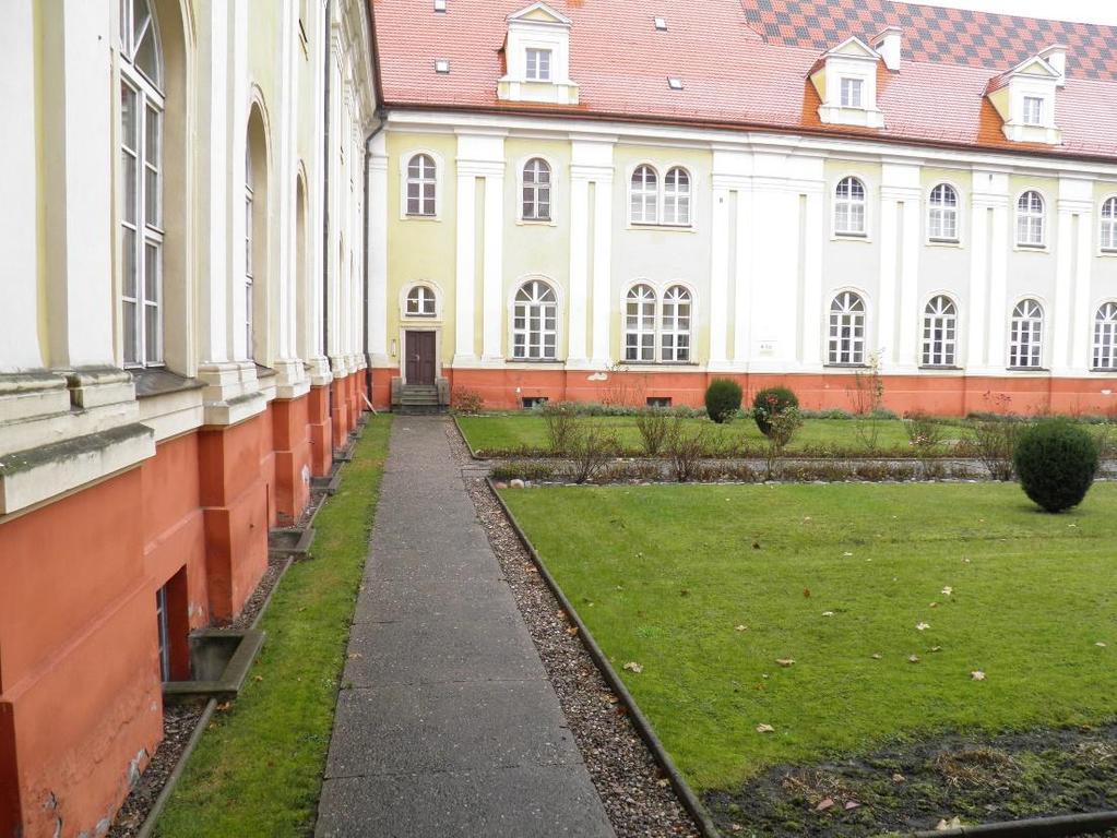 Ściana zachodnia Ściana północna północna Fot.8. Widok zachodniej i fragmentu północnej ściany wirydarza.