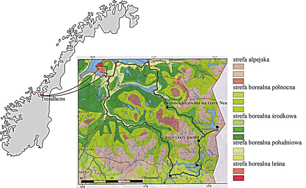 149 WĘDRÓWKA PO NORWESKIM BOREALU; TRONDHEIM I OKOLICE Grzybkowska Maria, Gunderina Larissa (Łódź, Nowosybirsk) Norwegia, kraj północy Europy, o bardzo długiej linii brzegowej (fiordy), jest jednym z