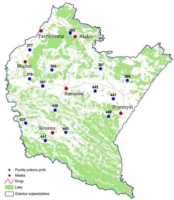Rysunek 19.