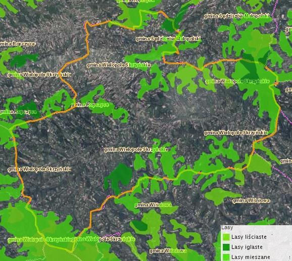 Tabela 36. Struktura lasów Gminy Wielopole Skrzyńskie w roku 2016.