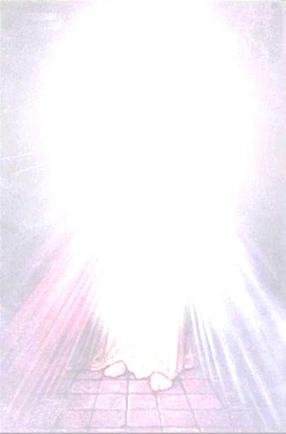 He points, that is, to the wounds of the Passion, especially the wound in His Heart, the source from which flows the great wave of mercy poured out on humanity. "From that Heart, Sr.