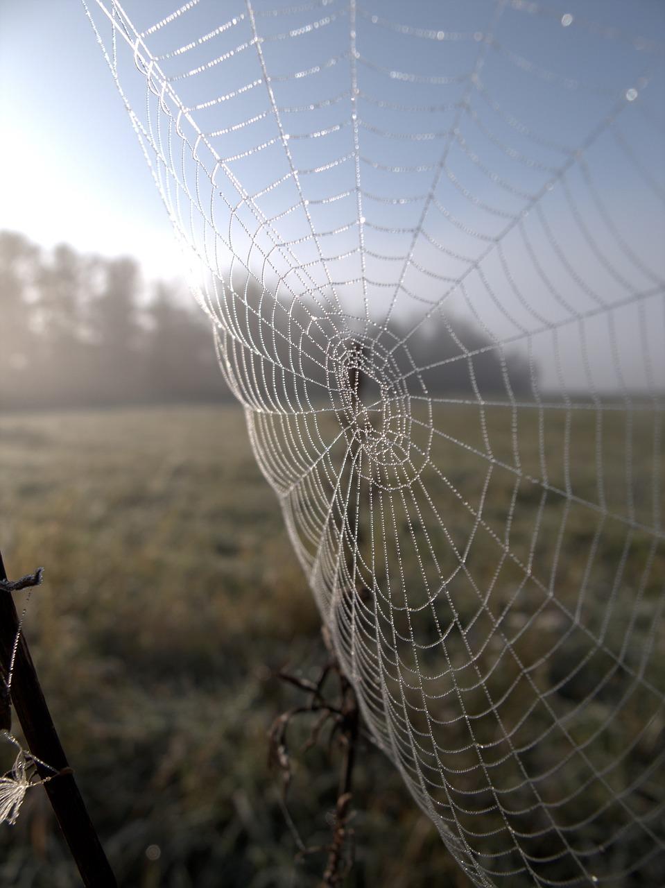 #1 TKANIE SIECI RELACJE WARTOŚCI POCZUCIE WSPÓLNEGO CELU METODY: spotkania indywidualne rozmowy