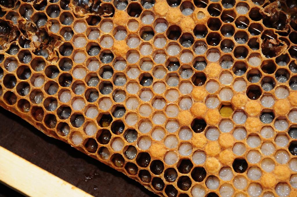 PYTANIE NA CZACIE: Dlaczego warto tworzyć