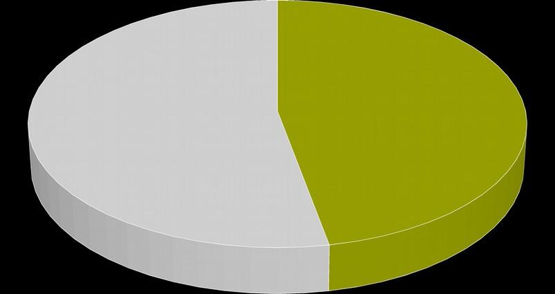 Struktura ruchu przyjazdowego Porównanie wyników w czasie 2011 2012 3 40% 2013 2014 5 5 Płeć: 40% 4 4 kobieta 53,00% 6 60% 4 4 60% 5 47,00% mężczyzna 5 Wiek: 18-19 lat 2 20-29 lat 30-39 lat 2 40-49