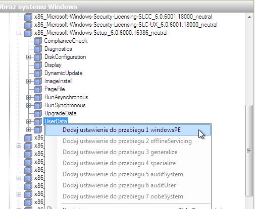 Wybierz UserData w obszarze " Answer File ".