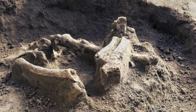 Przy budowie DW 519 w Morągu odnaleziono ludzkie szczątki.