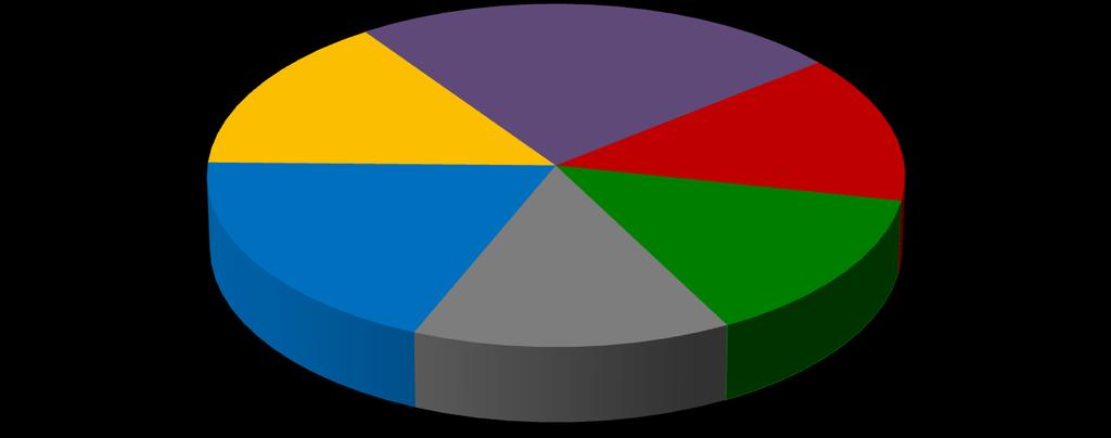 8 Makrosfery Ramowa alokacja środków 24%