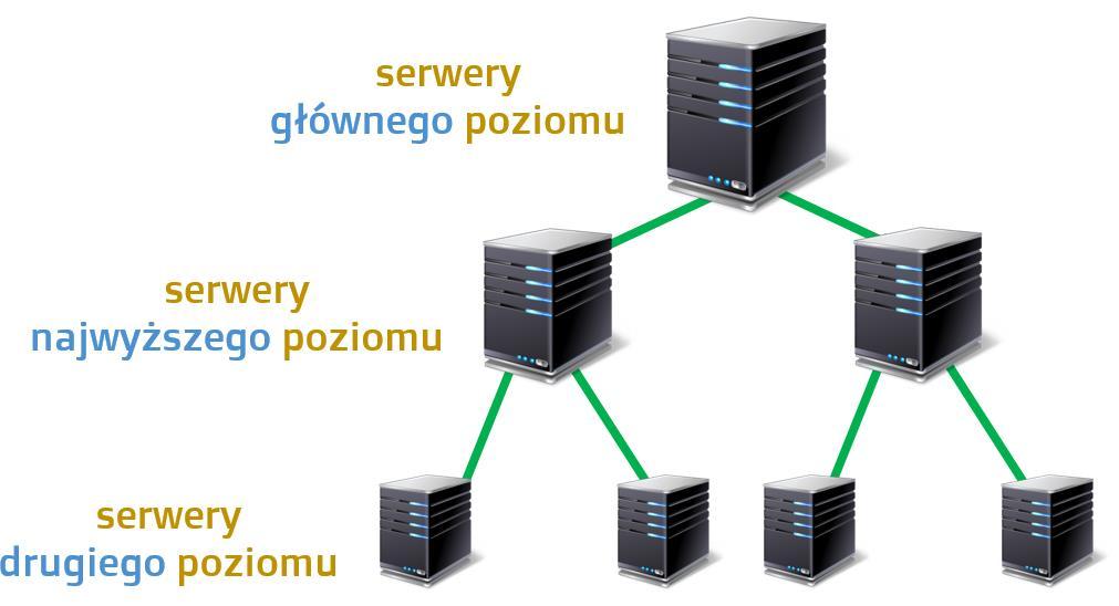 Domeny najwyższego poziomu określają kraj lub też typ organizacji np..pl;.de; czy.uk określające kraj,.org określa organizacje non profit,.com określa przedsiębiorstwo czy.