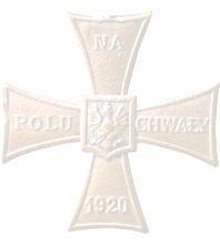 Był to dzień 10 kwietnia 1921 roku. Słońce potokami złotych promieni zalewało zbocza Gór Tumskich. Chorągwie i sztandary łopotały na wiosennym wietrze.