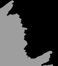 funkcja REVERSE