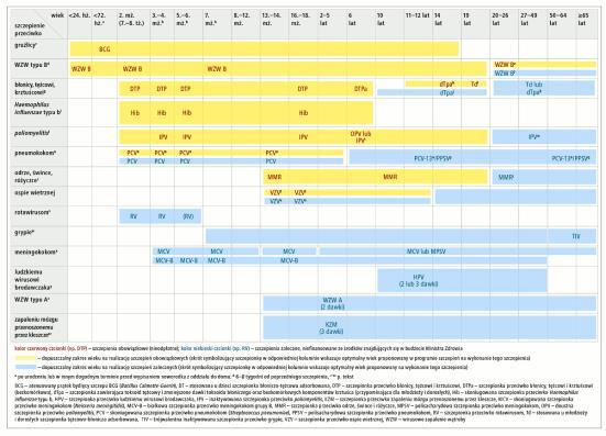 Bożenna Bucholc, Paulina Górska, Wiesława Janaszek-Seydlitz LICZBA WYKONANYCH SZCZEPIEŃ A UKŁAD ODPORNOŚCIOWY PRZEGL EPIDEMIOL 20; 65: 629 634.