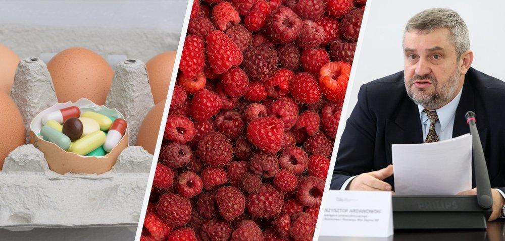.pl https://www..pl Bunt plantatorów malin!