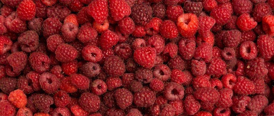 .pl https://www..pl Bunt plantatorów! Rolnicy wstrzymują zbiory W Bobach na Lubelszczyźnie, w centrum malinowego zagłębia trwały obrady, dotyczące niskich cen owoców na skupie.