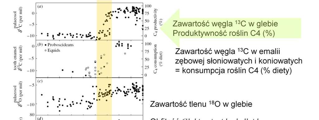 Zmiana globalna, obejmująca klimat, produktywność
