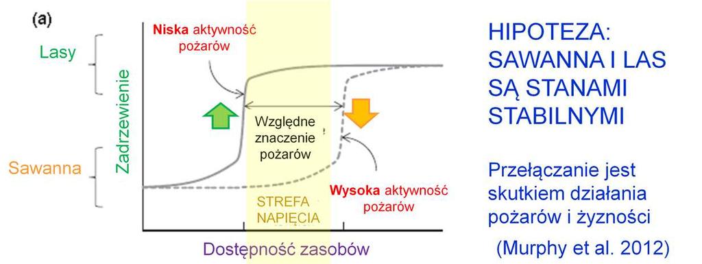 Wg Murphy et al.