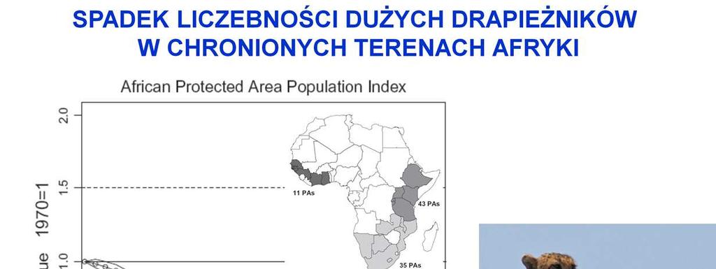 Wg. niedawnych publikacji liczba wielkich drapieżników