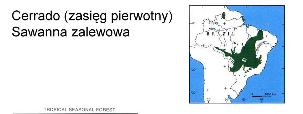 Na dużych obszarach nizinnych Ameryki Pd. w strefie subtropikalnej występuje sawanna zalewowa - cerrado (obecnie znacznie zmieniona przez człowieka).
