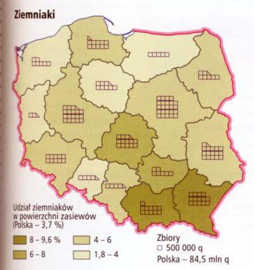 Ziemniaki w Polsce ZIEMNIAKI (dane wg FAO) 1961 1980 1990 2000 2005