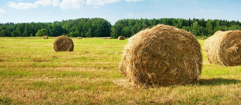 produkcji kotłów do spalania słomy sięga