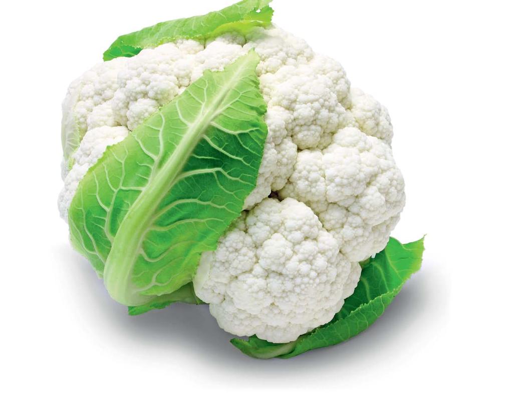 Kalafior odmiana marka cena netto MOMENTUM Seminis 112.00 117.60 ABENI Seminis 110.00 115.50 SV5777AC Seminis 112.00 117.60 FORTALEZA Seminis 114.40 120.