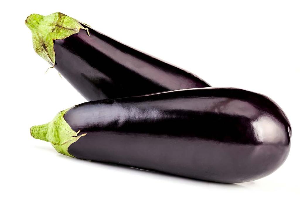 Oberżyna odmiana marka cena netto SCORPIO De Ruiter 565.40 593.