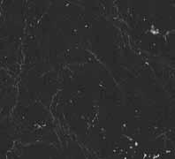Dexter Czarny Inspirowany czarnym granitem dekor