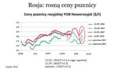 .pl Rosną ceny pszenicy w Rosji W sezonie 2016/17, po rekordowych zbiorach na światowych rynkach utrzymywały się niskie ceny zbóż mówi W. Łopaciuk z IERiGŻ.