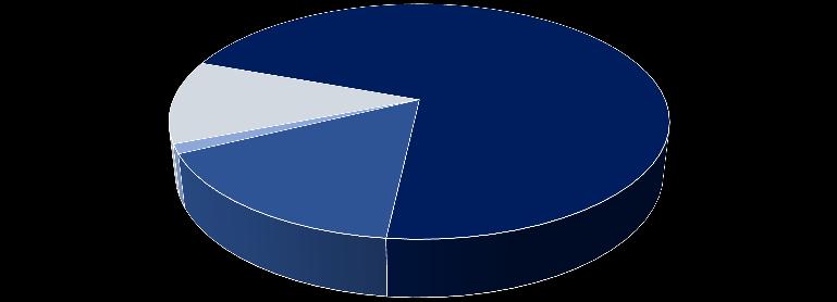 STRUKTURA KOSZTÓW W SEGMENTACH POZOSTAŁE 20% PROJEKTY PRODUKCJA MATERIAŁY 40% POZOSTAŁE 12% MATERIAŁY 71% PODWYKONAWCY 33% PŁACE 8%
