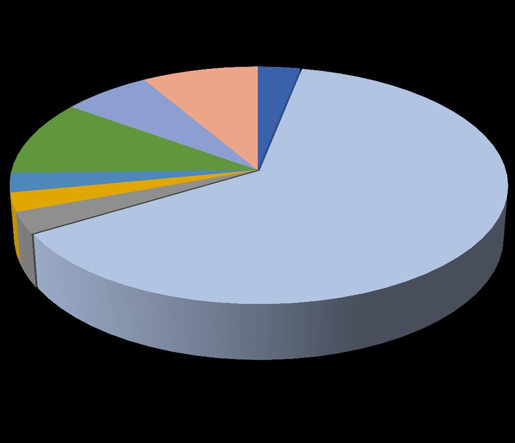 STRUKTURA KOSZTÓW OGÓLNEGO ZARZĄDU Amortyzacja 6,6% 8,6% 3,1% Wynagrodzenia z narzutami 10,3% Podróże służbowe, noclegi i rozłąka 2,6% 2,6% 3,0% 63,3% Flota samochodowa