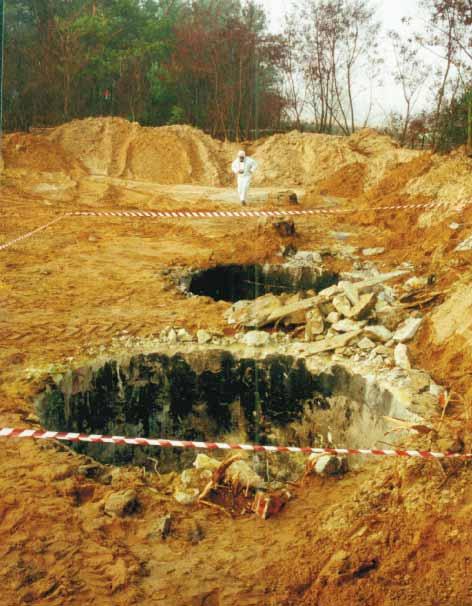 5.4. Likwidacja mogilników Roman Gulbierz (Wojewódzki Inspektorat Ochrony Œrodowiska w Lublinie) W roku 2000 kontynuowano rozpoczêt¹ w 1999 r.