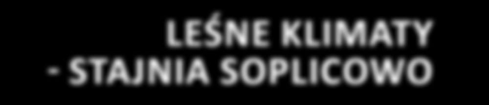Każde dziecko przy asyście doświadczonego instruktora będzie mogło nakarmić konia