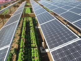Cele Rozwój i promocja innowacyjnych rozwiązań w energetyce odnawialnej, Badanie nowych rozwiązań i zastosowań OZE w rolnictwie, przemyśle i energetyce.