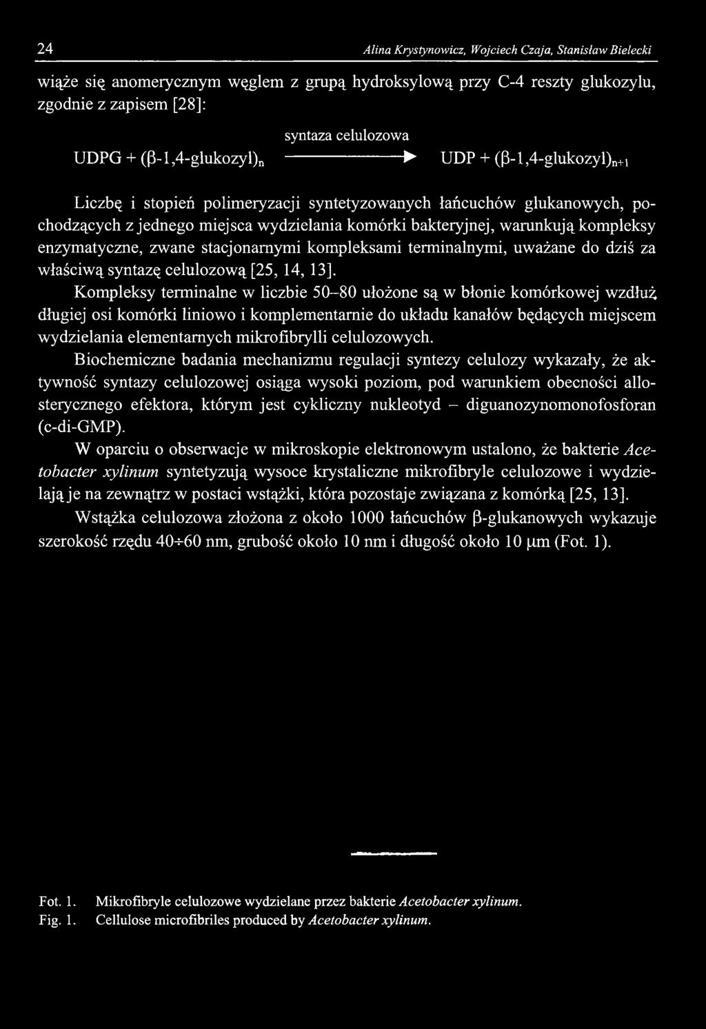 celulozowych.