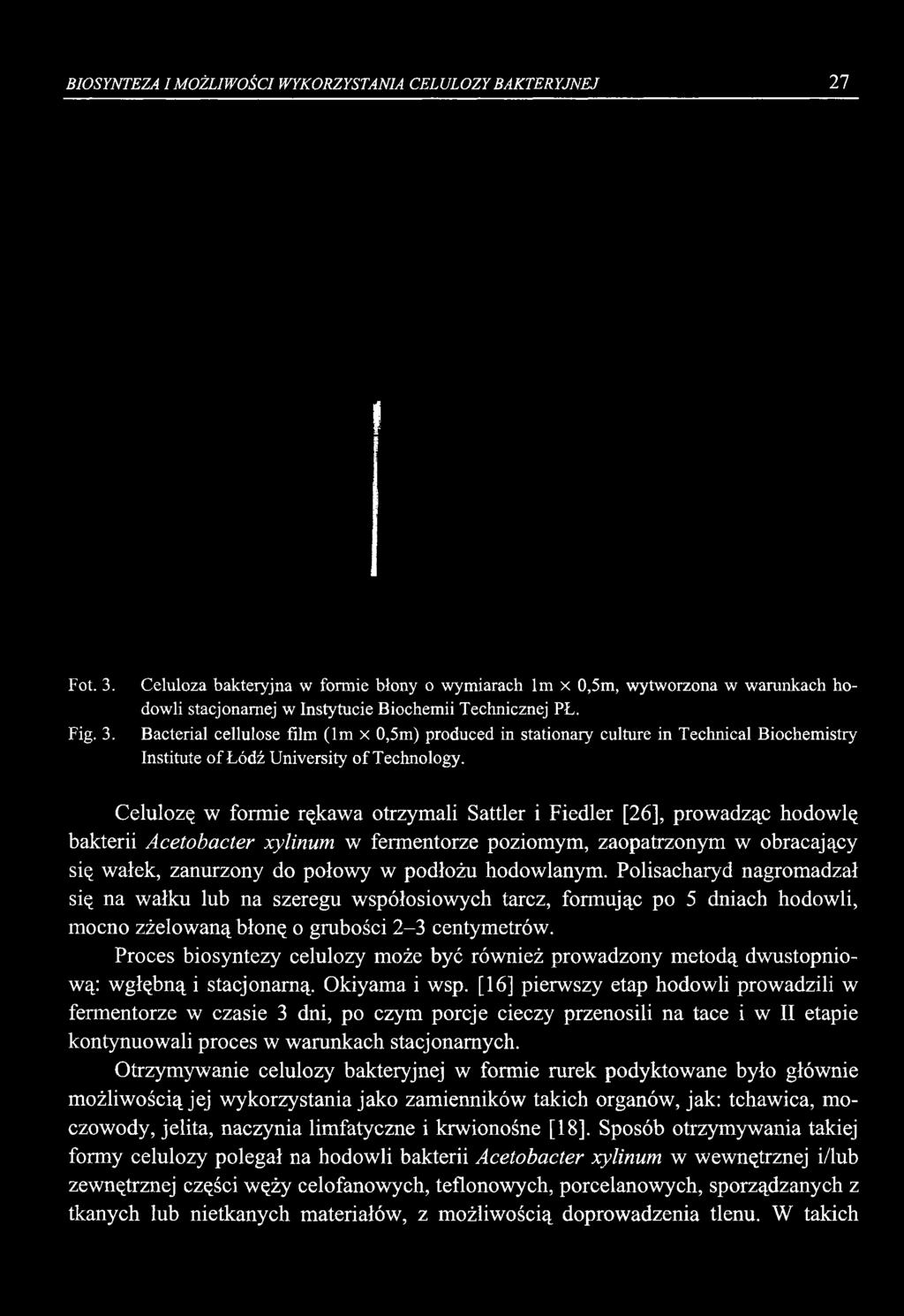 Bacterial cellulose film (lm x 0,5m) produced in stationary culture in Technical Biochemistry Institute of Łódź University of Technology.