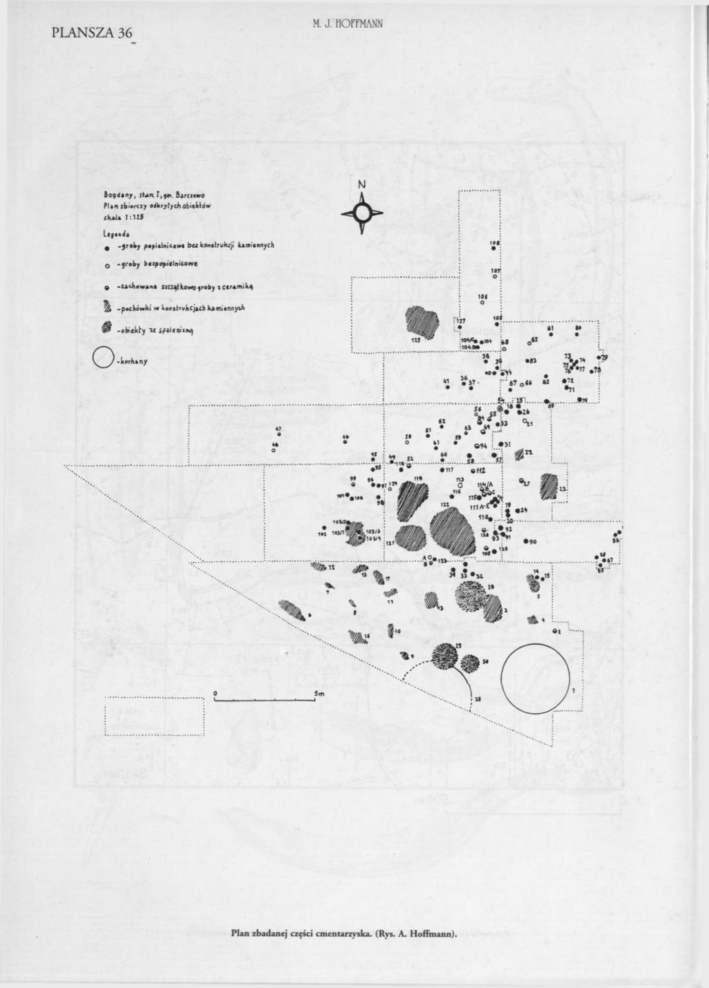 PLANSZA 36 M. J. HOFFMANN 8 09 áény, sun.iyqt).