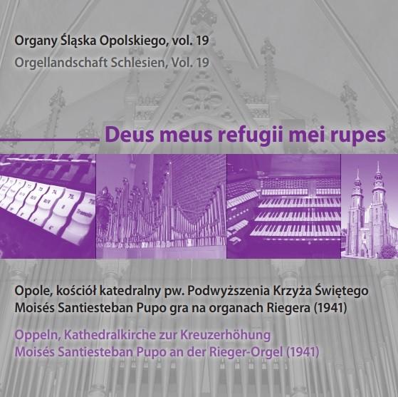Wcześniej, w latach 2015 2016, wyremontowany został prospekt organów. Prace powierzono konserwatorowi A. Barskiemu z Nysy. Niejako koroną zabiegów naprawczych jest opublikowanie niniejszej płyty.