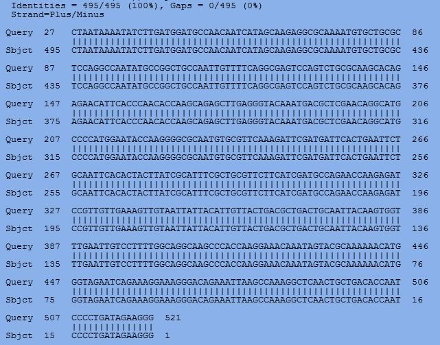 Populacja patogenicznych grzybów po sekwencjonowaniu DNA ITS2 Tab. 2.