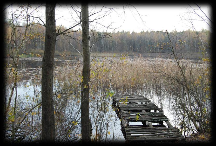 2. Krogulec PLH 140008 Obszar o powierzchni 110,7 ha w sieci Natura 2000 obejmujący dwa zbiorniki wodne: Kręgulec i Glinianka znajdujące się w odległości około 2 km od miejscowości Dąbrówka.