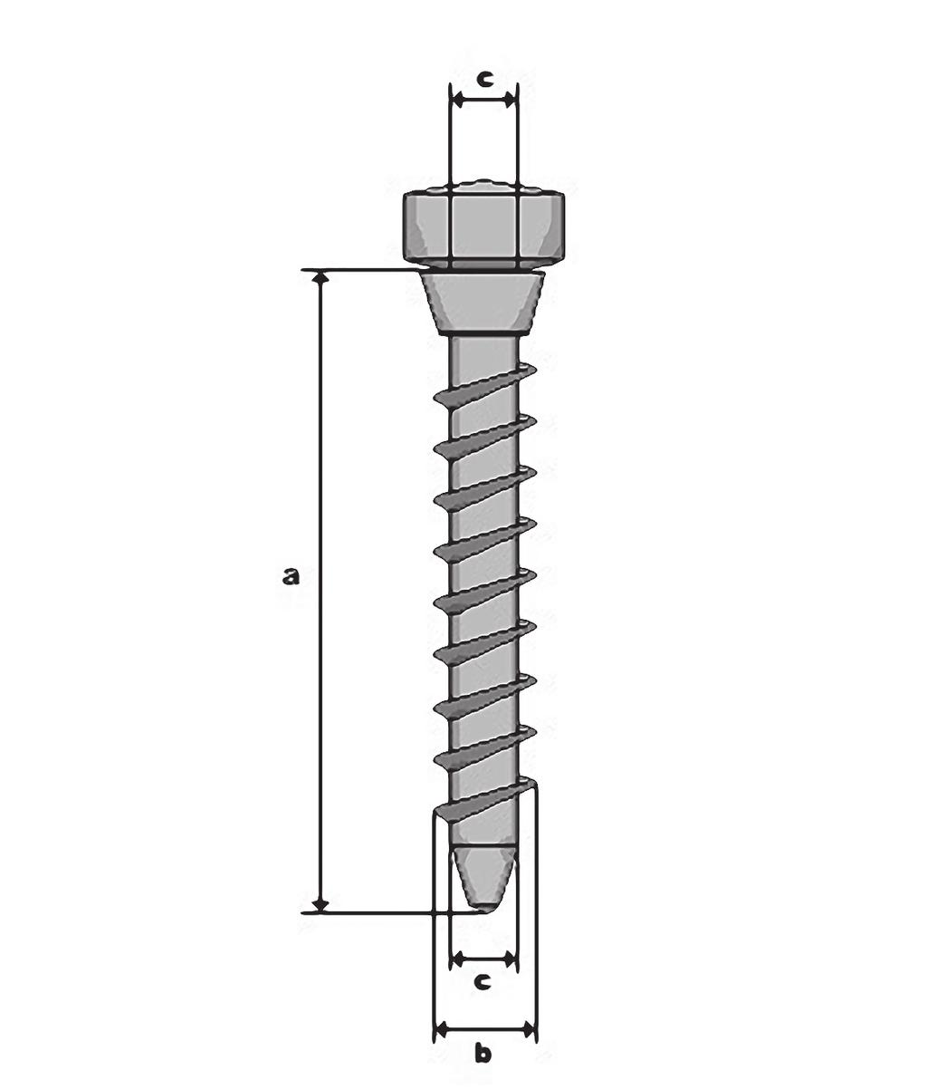 Ryc. archiwum autorek 1 