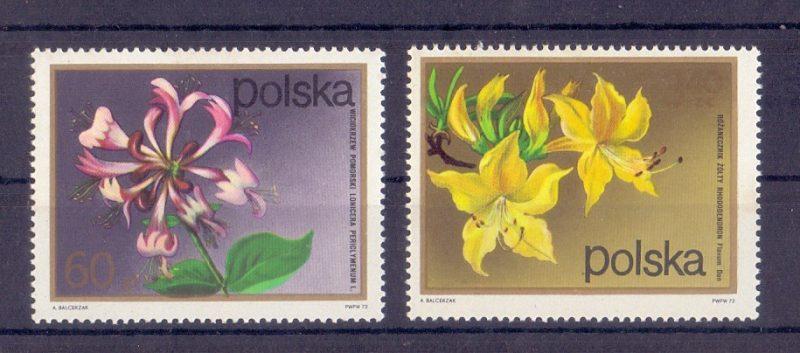Ryc. 24. Dwa znaczki z serii Kwiaty krzewów wydanej 15 grudnia 1972 r. (nr kat. 2069 wiciokrzew i 2072 różanecznik).