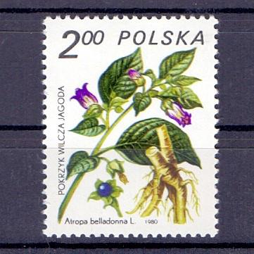nr kat. 3308 z dnia 30 czerwca 1993 r. i kosodrzewina nr kat. 3383 z 27 marca 1995 r.