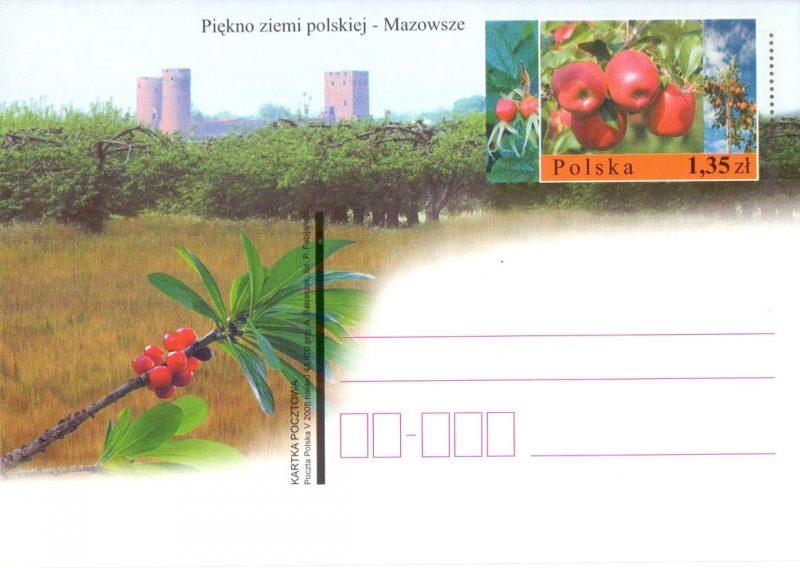 Ryc. 44. Całostka nr kat. Cp 1467 pt.