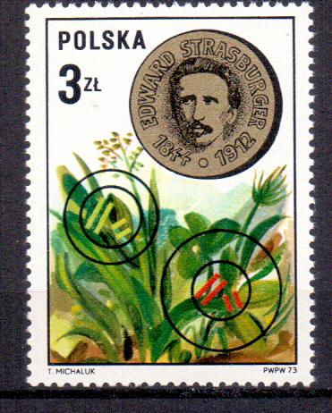 znaczek (3467; Ryc.
