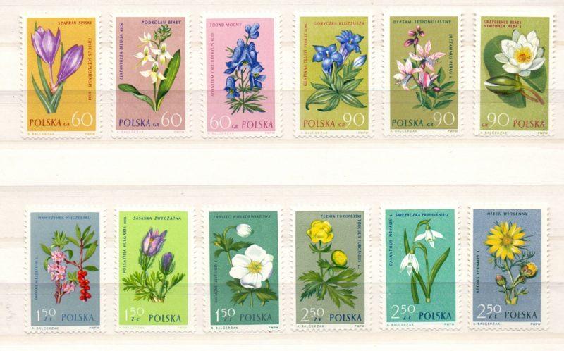 Balcerzaka znaczkach przedstawiono szafran spiski Crocus scepusiensis (Rehmer et Wol.) Borbas ex Kulcz., podkolan biały Platanthera bifolia (L.) Rich., tojad mocny Aconitum firmum Rchb.