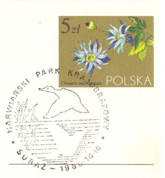 Ryc. 65. Stempel poświęcony Narwiańskiemu Parkowi Krajobrazowemu z 16 października 1986 r. Istotną rolę w ochronie roślin rzadkich i ginących pełnią ogrody botaniczne.